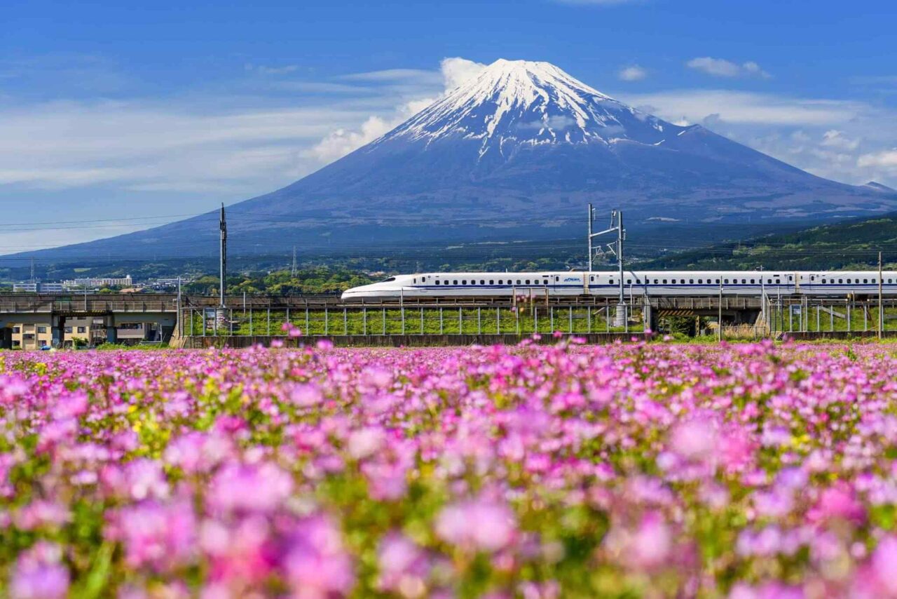 https://diamondplustur.com/wp-content/uploads/2018/09/tour-osaka-04-1280x854.jpg